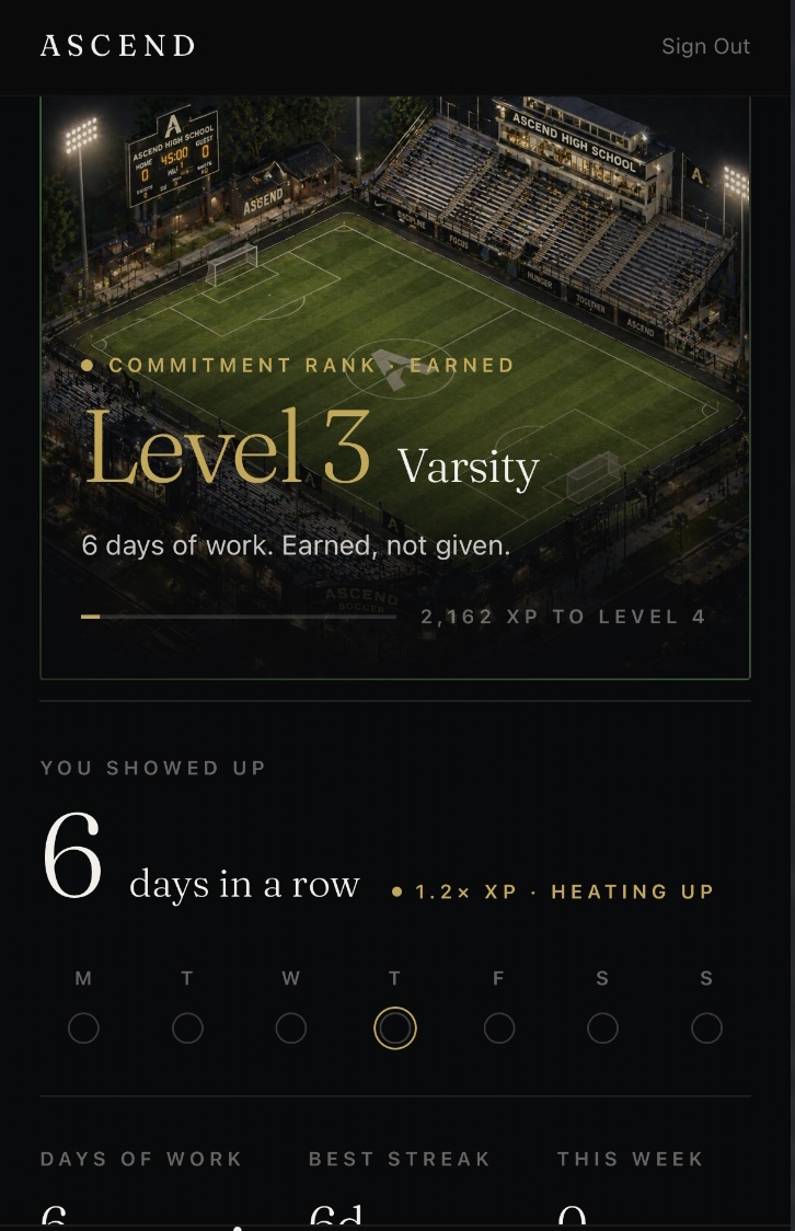Progress and rank — the climb made visible